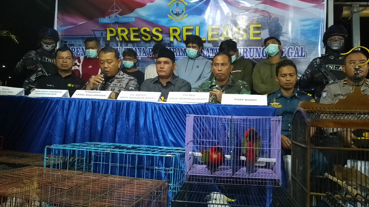 TNI AL Gagalkan Penyelundupan Puluhan Ekor Burung Dilindungi Asal Papua