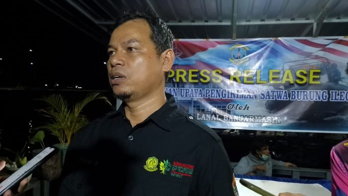 Ya Ampun, Nilai Burung Selundupan Asal Papua Capai Miliaran Rupiah