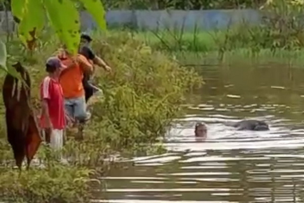 Mayat Terapung di Rawa Gegerkan Warga Desa Bajarau