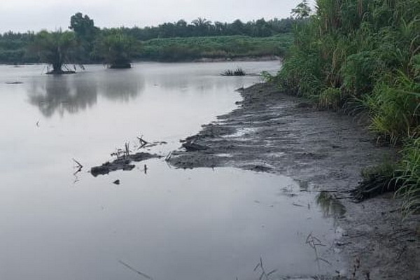 PT Agrindo Sawit Mandiri Diduga Buang Limbah ke Sungai