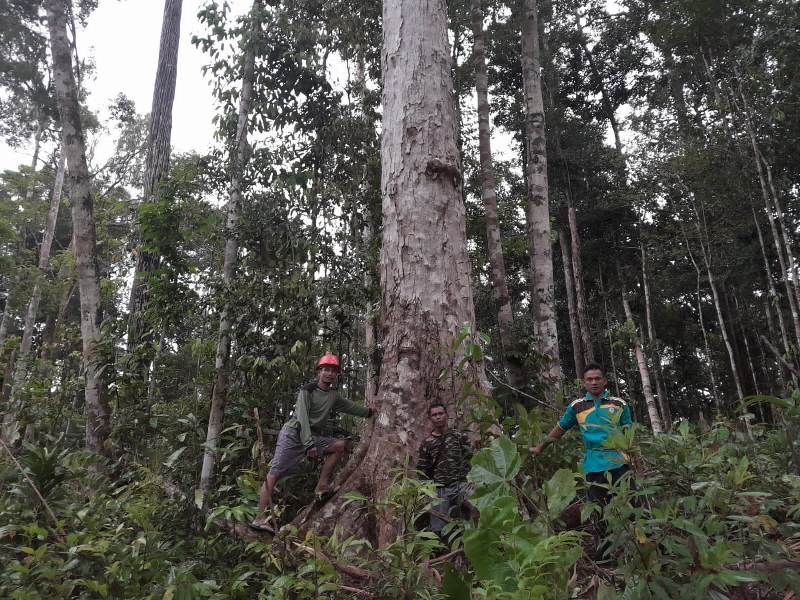 Warga Menanti Realisasi Janji Bupati Kotim untuk Cabut Izin PT BSL