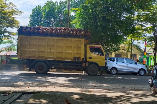 Dewan Minta Dinas Terkait Tegas Larang Truk Masuk Kota Sampit