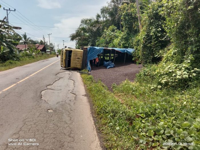 Tak Kuat Menanjak, Truk Pembawa Kernel Sawit Terbalik di Cempaga Hulu