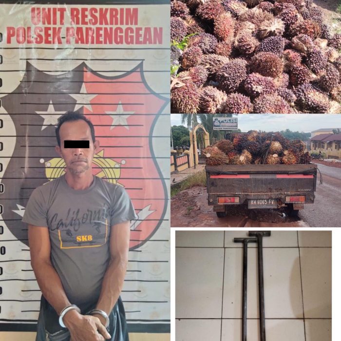 Gagal Bawa Hasil Curian Usai Kepergok Satpam Perusahaan