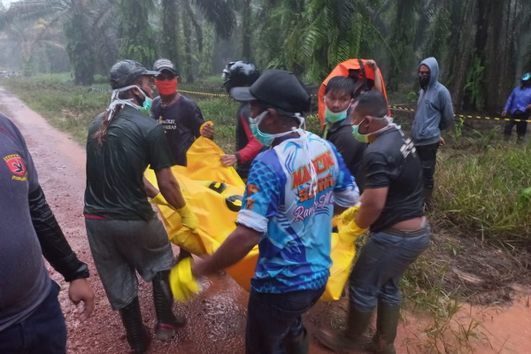 Sesosok Mayat Ditemukan di Tengah Kebun Sawit