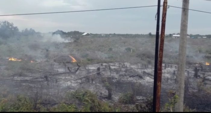 BREAKING NEWS! Kebakaran Lahan Terjadi di Kotim
