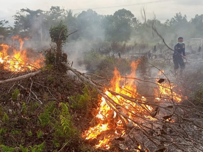 Kebakaran Lahan di Kotim Diindikasi Sengaja Dibakar untuk Tanah Kavling