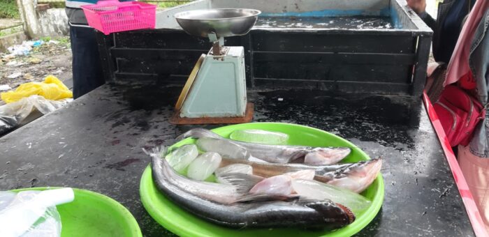 Dislutkan Kembali Jual Ikan Segar Bersubsidi di Pasar Penyeimbang