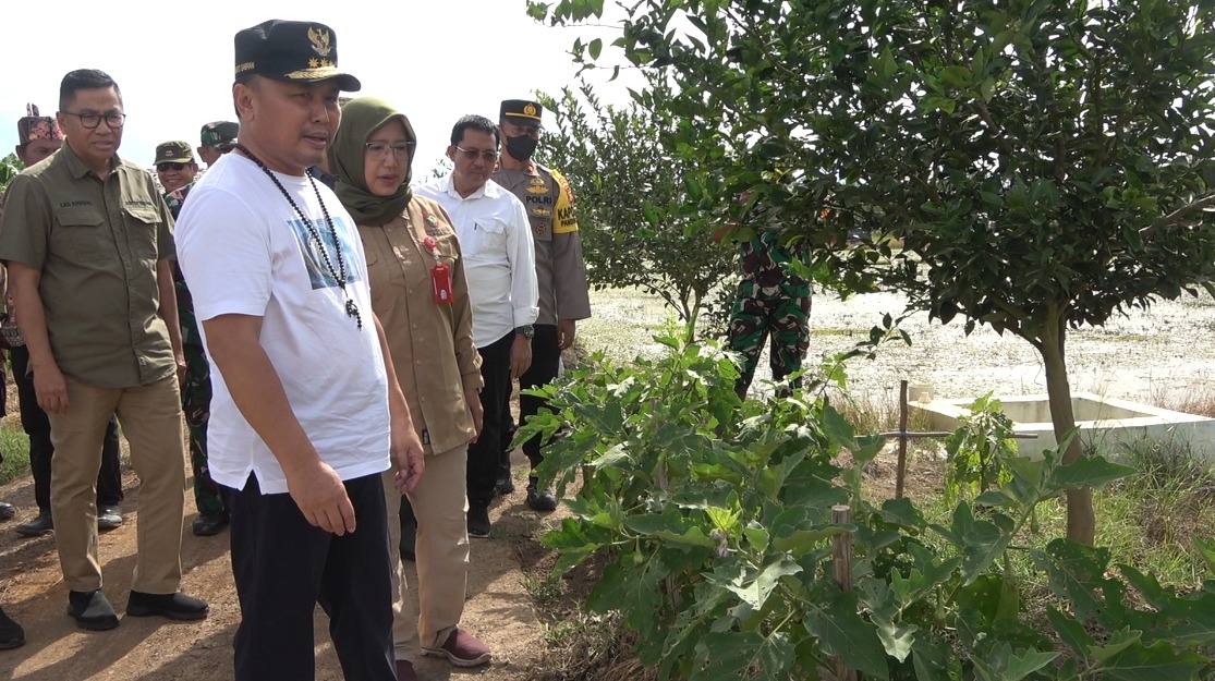 Berkunjung ke Pulang Pisau, Gubernur Pastikan Program Food Estate Berjalan Lancar