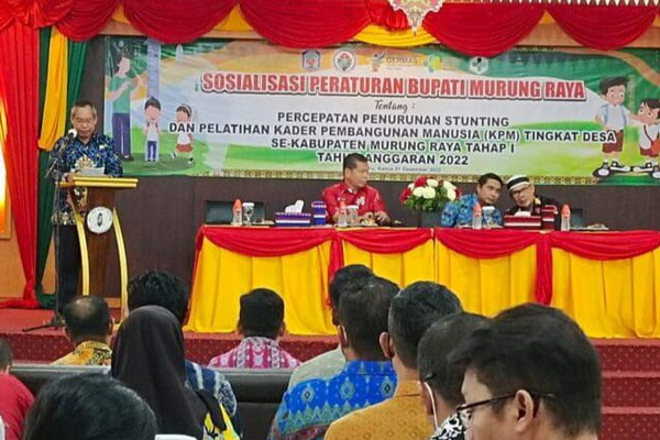 Pelatihan Kader Pembangunan Manusia untuk Sosialisasi Stunting