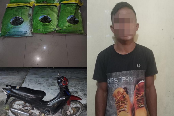 Apes, Pencuri Pupuk ini Tepergok saat Jatuh dari Sepeda Motor