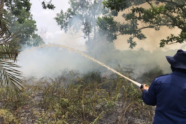 Kebakaran Lahan Terjadi Dekat Perumahan Warga di Sampit