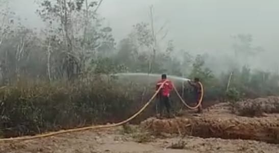Karhutla Melanda Kobar Jelang Pergantian Tahun