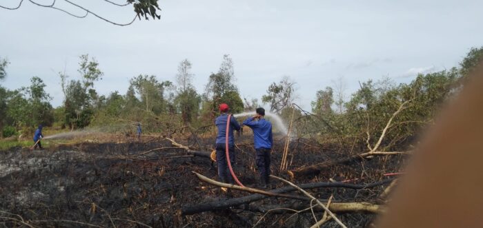 Sejumah Lahan di Kotim Mulai Terbakar, Kebun Raya Salah Satunya