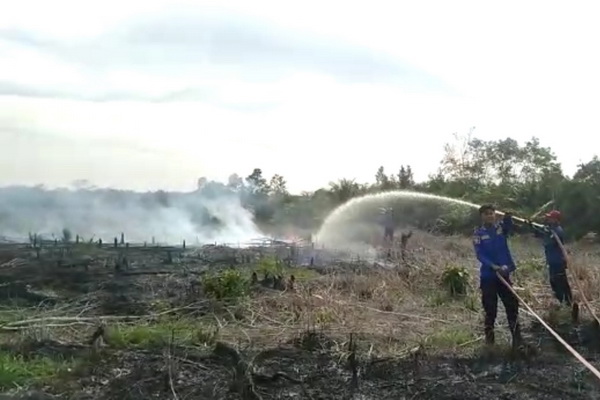 Disdamkarmat Sebut Sejumlah Kebakaran Lahan di Sampit Diduga Disengaja