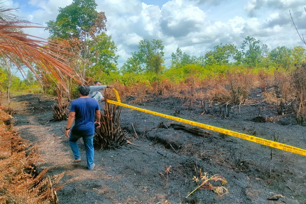 Polisi akan Selidiki Sejumlah Lahan yang Terbakar di Sampit
