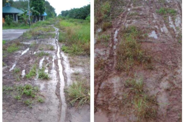 Akses Jalan Desa Sei Asam Rusak Parah, Warga Kesulitan Pasarkan Hasil Pertanian