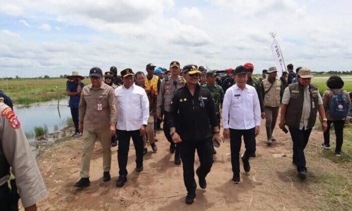 Bupati Kapuas Dampingi Mentan RI Tinjau Kawasan Food Estate di Dadahup