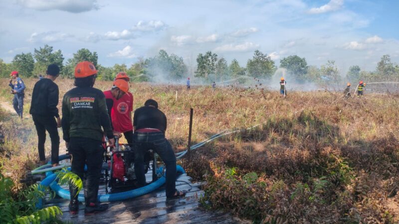 Satu Hektare Lahan di Sampit Hangus Terbakar