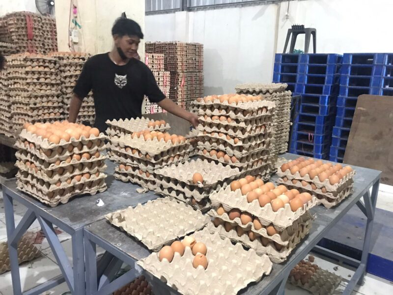 Meski Makin Mahal, Stok Telur jelang Ramadan Dipastikan Aman