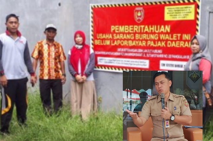 Pendapatan Pajak dari Sarang Burung Walet di Kobar Masih Nihil, Ternyata ini Sebabnya