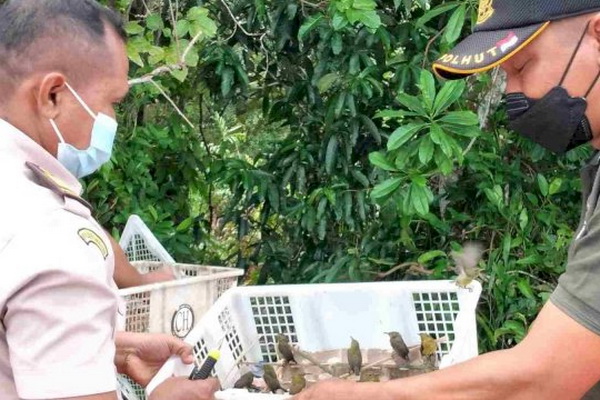 Calon Penumpang di Pelabuhan Sampit Diimbau Tidak Membawa Hewan Dilindungi ke Luar Pulau