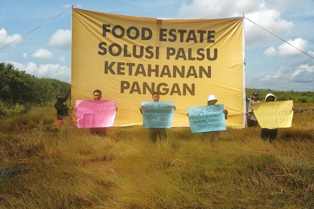 WALHI Minta Food Estate Dihentikan: Tak Menjawab Kebutuhan Petani Kalteng