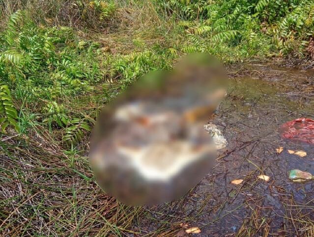 Usai Tebar Beras Kuning, Warga Kapuas Dihebohkan Penemuan Mayat yang Sudah Membusuk