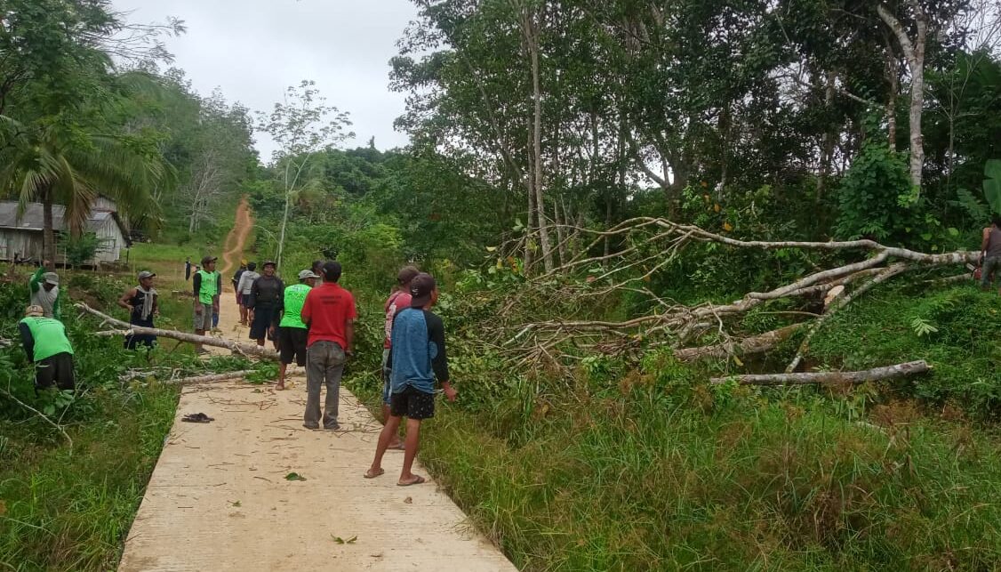Warga Desa Pantung Gotong Royong Bersihkan Lahan untuk Dukung Program PLN