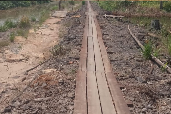 Kepala SMAN 1 Tamban Catur Kapuas Harap Perbaikan Jalan Menuju Sekolah