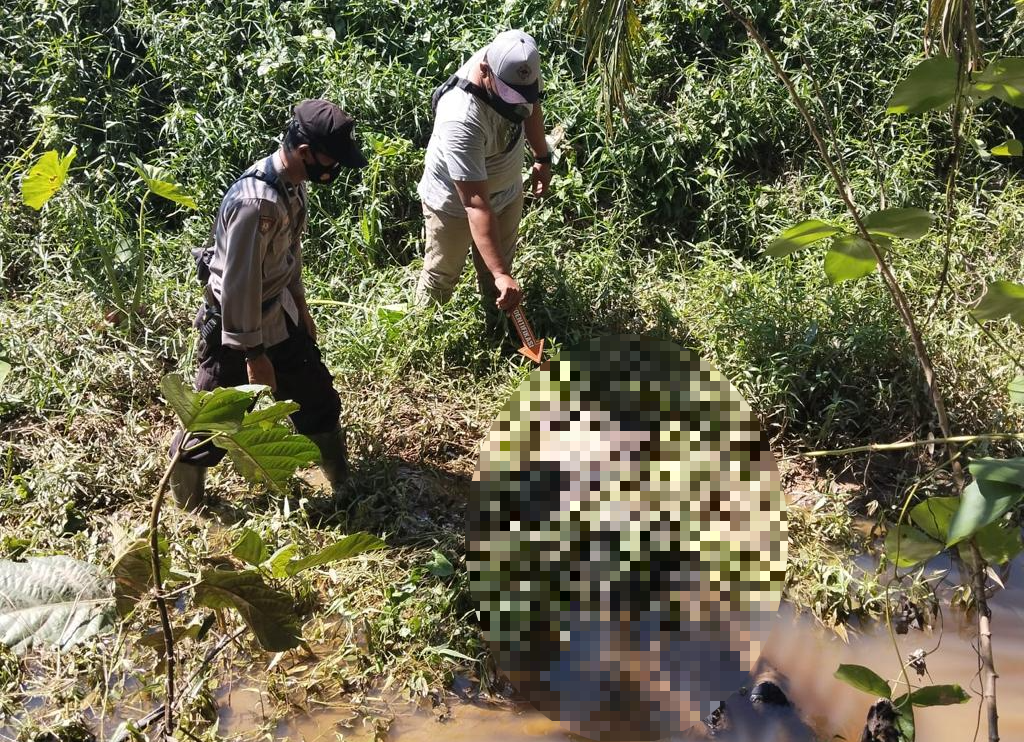 Hendak Petik Buah, Warga Mentaya Hulu Malah Temukan Mayat di Kebun