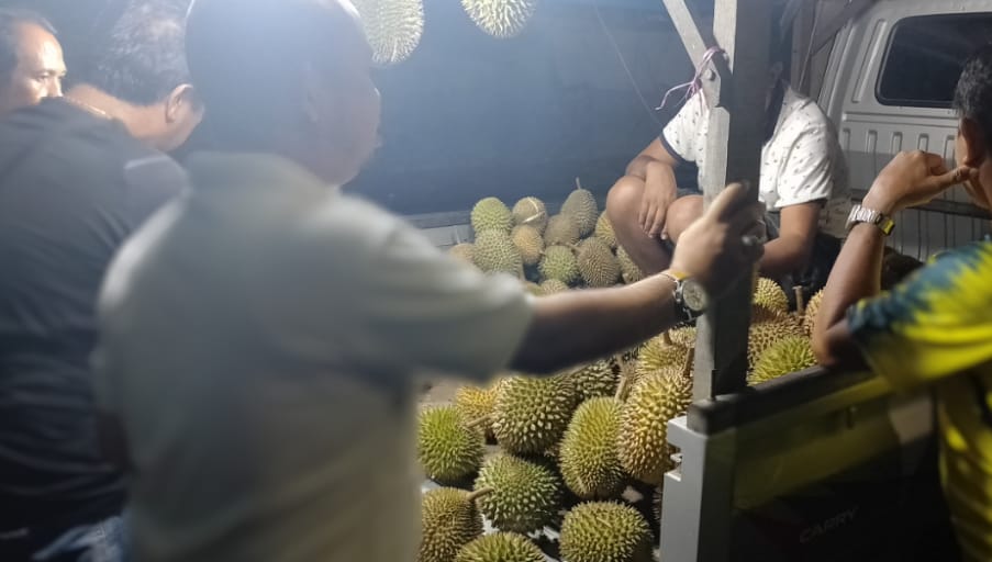 Musim Durian Tiba, Banyak Warga Kobar Alih Profesi Dadakan