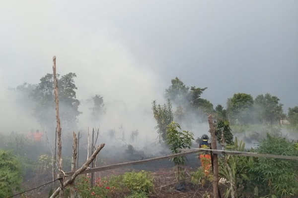 BPBD Kotim Catat Sejumlah Hotspot di Kotim, Kecamatan Mentaya Hilir Paling Banyak