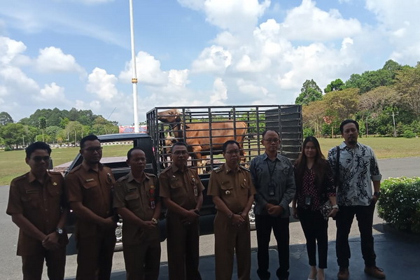 Jelang Idul Adha, Bupati Sakariyas Minta BUMN dan PBS Ikut Berkurban