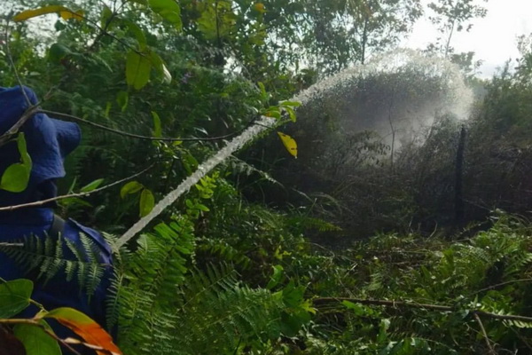 Legislator Kotim Imbau Masyarakat Jangan Buka Lahan dengan Cara Membakar 