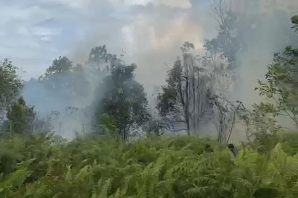 Masuk Musim Kemarau, Warga Perumahan di Sampit Dihantui Kebakaran Lahan