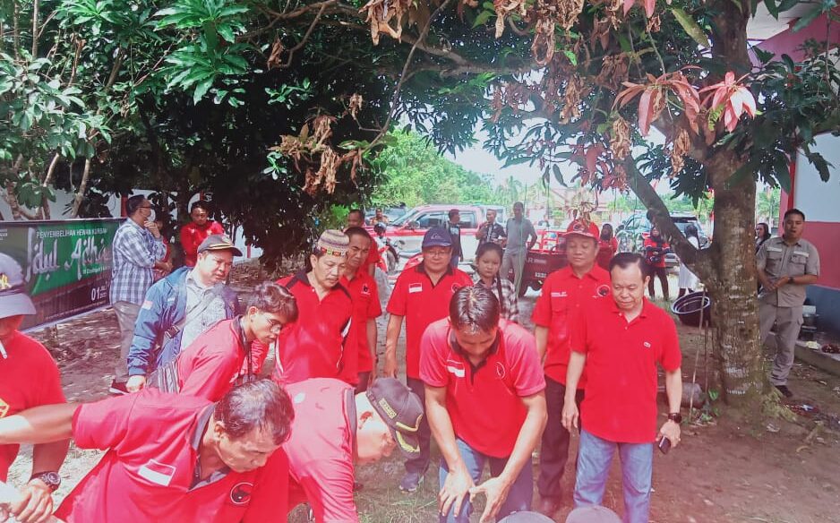 DPC PDIP Katingan Kurbankan Dua Sapi, Dibagikan Kepada Warga Kurang Mampu
