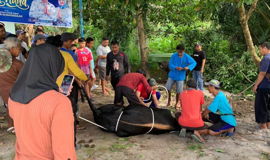 Monica Putri Rasyid Bagikan 3000 Paket Daging Kurban untuk Masyarakat Palangka Raya