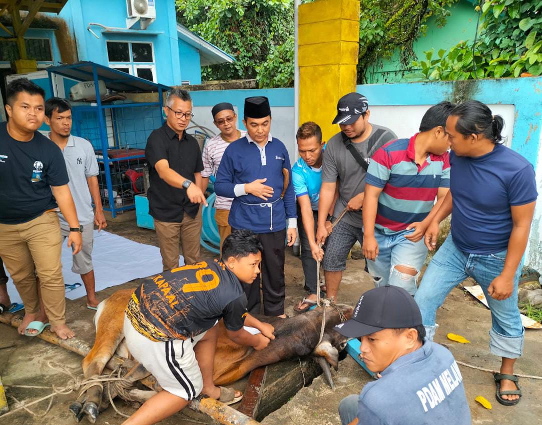Perdana, Perumdam Tirta Melawi Potong Hewan Kurban