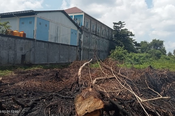 Kebakaran di Lahan Kosong Nyaris “Menyambar” Kantor Bulog Sampit