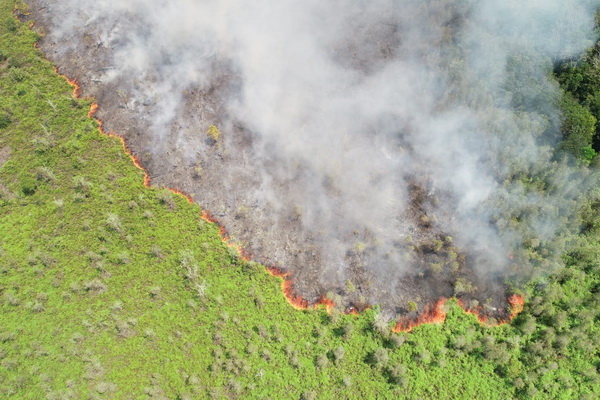 Puluhan Hektare Lahan Warga di Kota Besi Habis Terbakar