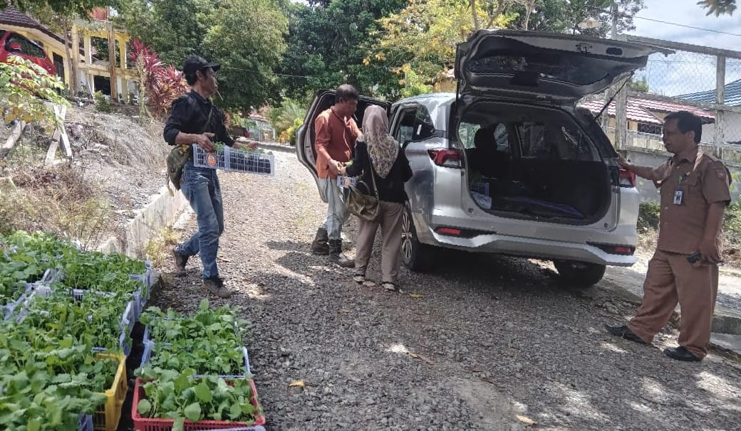 Perkuat Ketahanan Pangan, Pemkab Kobar Bagikan 15 Ribu Bibit Tanaman Holtikultura