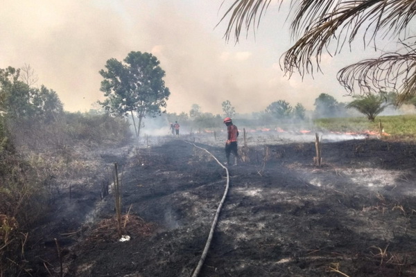 Karhutla Terjadi di Jalan Pelita Barat Sampit