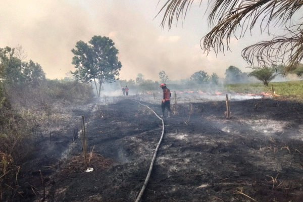 BPBD Catat Hotspot di Kotim Capai 1.164 Titik