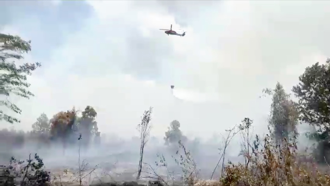 Hutan dan Lahan Terbakar di Kotim Capai 641 Hektare Lebih