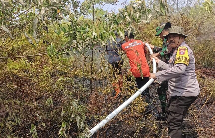 Karhutla di Katingan Meningkat Drastis, BPBD: Ada 44 Kejadian pada Agustus 2023