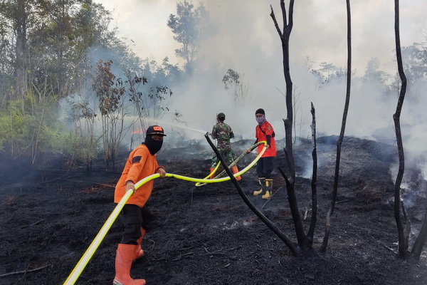 Kemarau, Karhutla di Katingan Kian Meluas
