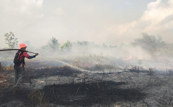 Tercatat 1.388 Titik Kebakaran Lahan di Kotim Hingga September Ini