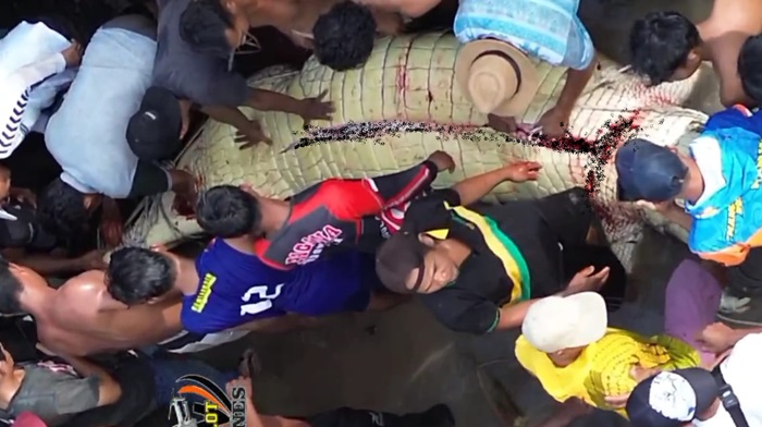 Warga Belah Perut Buaya yang Diduga Memangsa Seorang Anak di Sungai Arut, Tak Ditemukan Jasadnya