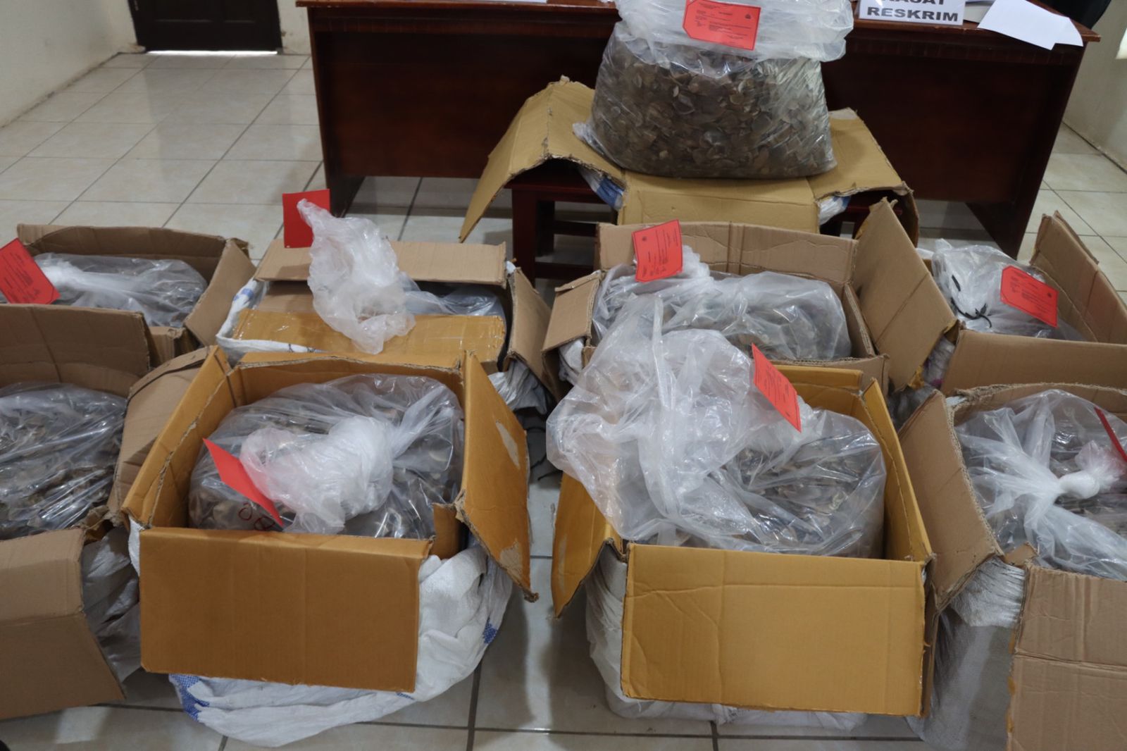 Upaya Penyelundupan 233 Kg Sisik Trenggiling ke Kalbar Digagalkan Polisi